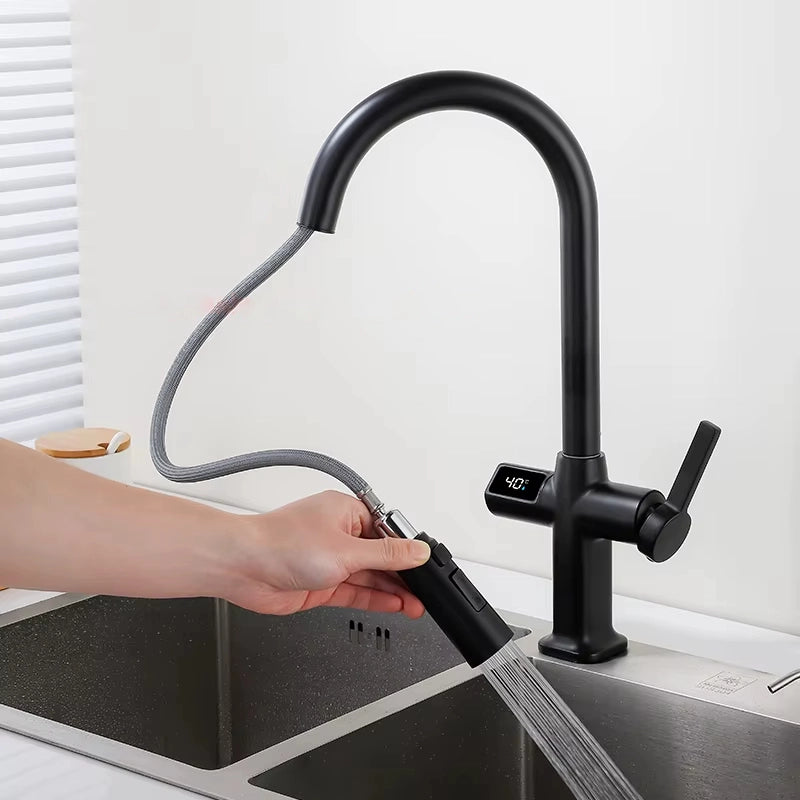 Robinet Thermostatique Cuisine | Fort