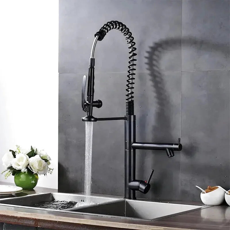 robinet-cuisine-professionnel-noir